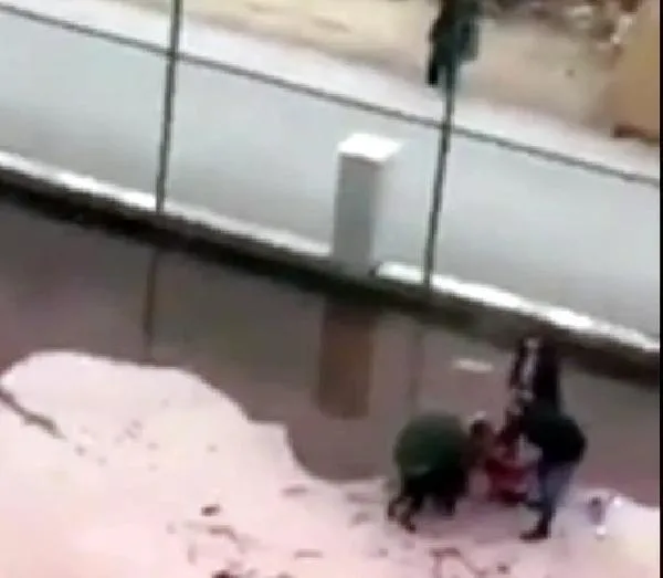 Gaziantep'te Pitbull dehşeti! 4 yaşındaki Asiye Ateş ağır yaralandı... 3 tutuklama-6