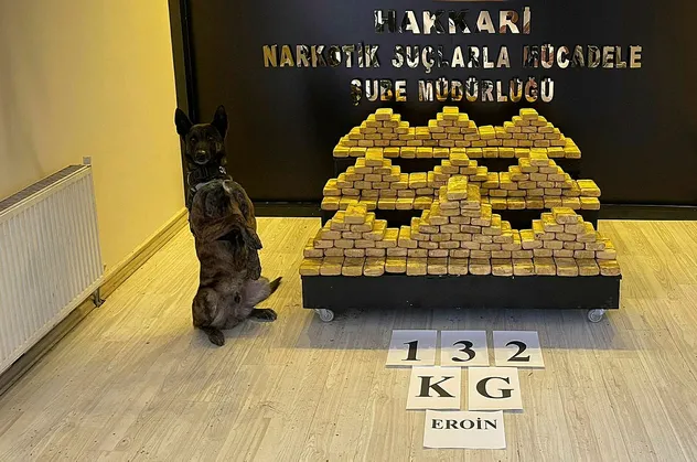 Depoya gizlenen 132 kilo eroini 'Ayzek' buldu