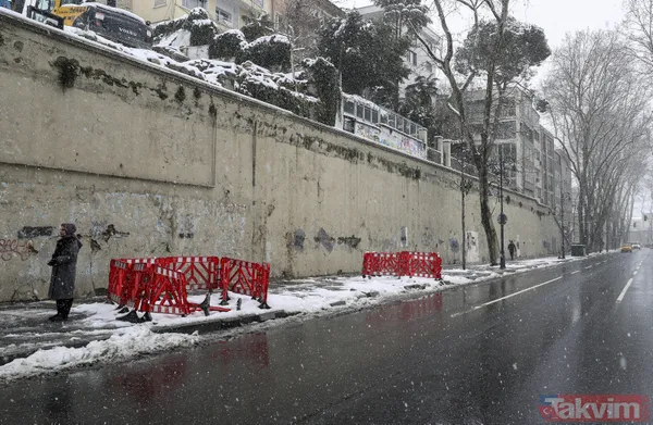 CHP'li İBB'nin ağaç katliamına sessiz kalan sözde çevrecilerin ikiyüzlülüğü! AK Parti: "Bu zihniyet, nobran bir zihniyettir” - 11