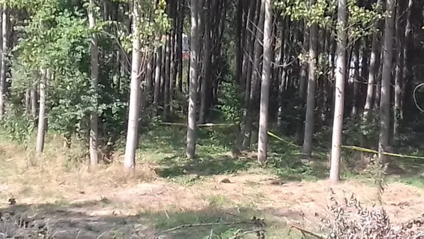 Son dakika: İki şehir iki feci olay... Korkunç şekilde bulundular-5