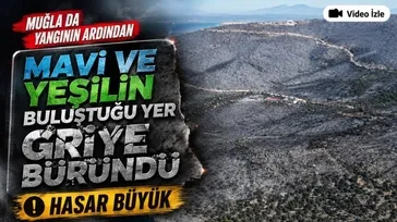 Milas'taki orman yangınında kül olan alanlar görüntülendi
