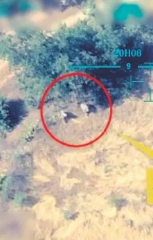 İHA’lar PKK'lı teröristleri görüntüledi: İnsanlık düşmanları ormanları da yakıyor