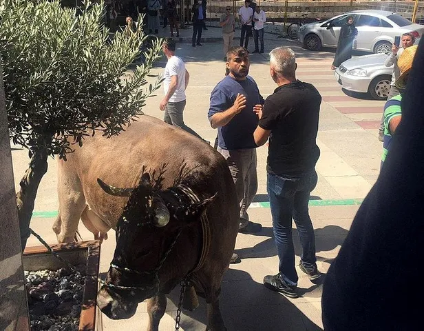 Mağdur çiftçiyi oynayan Ümit Yıldız gayrimenkul zengini çıktı-2