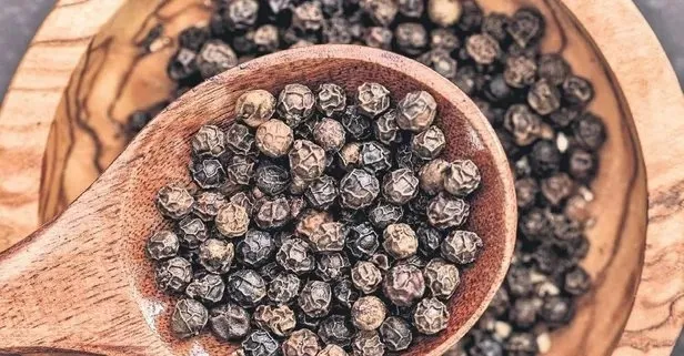 Karabiber ağız sağlığının öncüsü