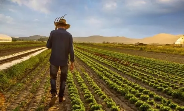 mazot-gubre-destegi-yatti-mi-27-eylul-2022-mazot-gubre-destegi-ne-zaman-odenecek-1664261511602.jpeg Mazot Gübre desteği YATTI MI? 271 liraya YÜKSELDİ! 28 Eylül 2022 Mazot Gübre desteği ne zaman ödenecek? E-devlet sorgulama ekranı...-2