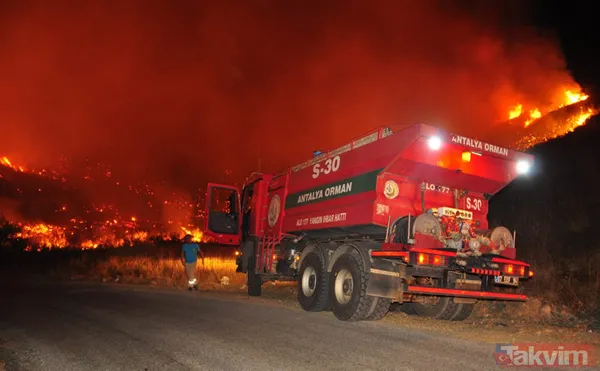Yanan ormanlar ne olacak? Ağaçlandırma çalışması sonbaharda başlayacak - 32