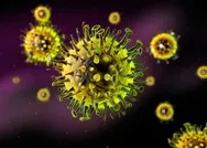 Bilim Kurulu Üyesi Kara uyardı! Asemptomatik taşıyıcılar, koronavirüs bulaştırıyor