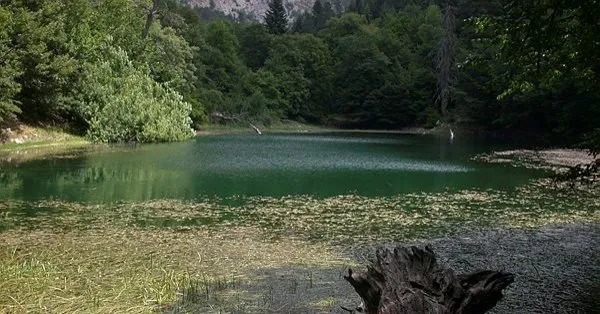 Ruyada Olu Gormek Ne Anlama Gelir Takvim