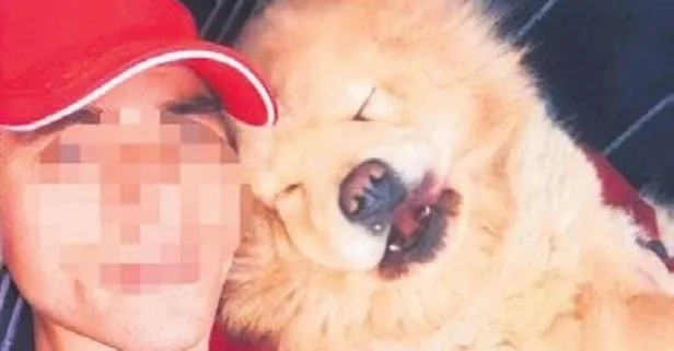 Timur S.’nin köpeği, ev sahipleri tarafından öldürüldü