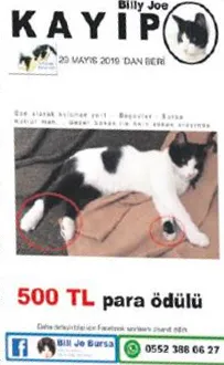 Kim'bilir' nerede!-1