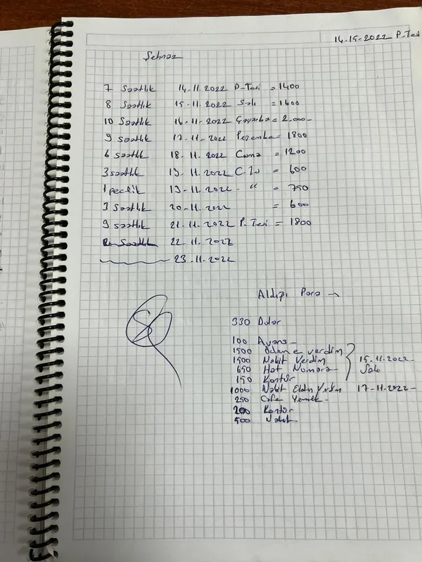 1670828553729.jpg 3 ilde fuhuş operasyonu: Tatile gelen Rus jinekoloğa tuzak kurmuşlar-4
