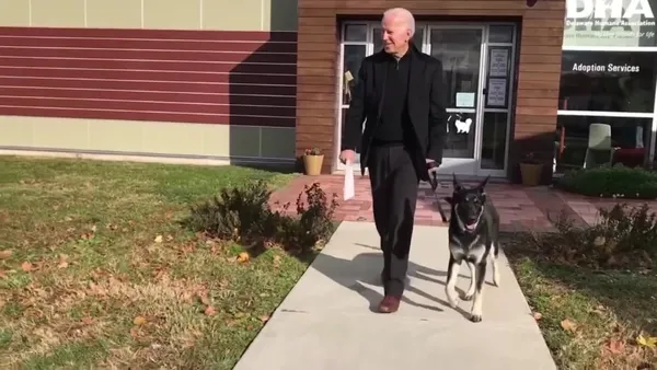 abd-baskani-secilen-joe-biden-kopegiyle-oynarken-ayak-bilegini-catlatti-1606731662599.jpg ABD Başkanı seçilen Joe Biden köpeğiyle oynarken ayak bileğini çatlattı-2