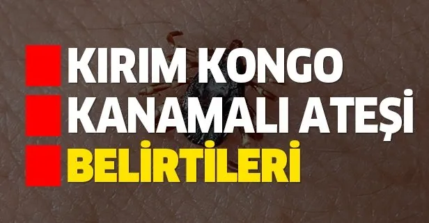 Kırım Kongo Kanamalı Ateşi nedir, belirtileri nelerdir? Kırım Kongo hastalığı nasıl ortaya çıkar?