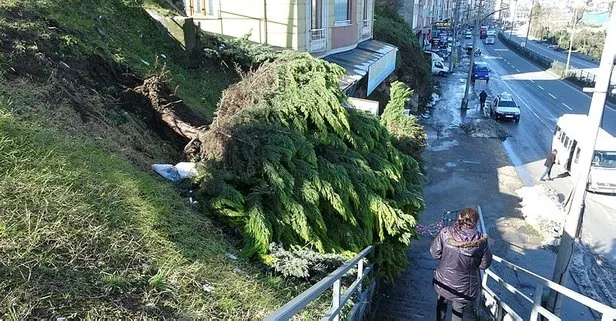 Trabzon’da korkutan olay! Büyük bir gürültüyle çöktü