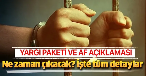 Başkan Erdoğan'dan Yargı Reformu ve af açıklaması!