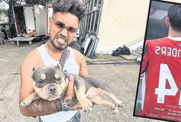 Milan havladı!