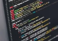 1 milyon yazılımcı başvurusu nasıl yapılır? BTK akademi 1 milyon yazılımcı başvuru ekranı!