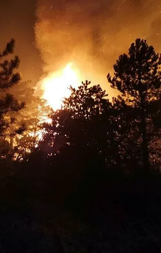 Ankara’da orman yangınına müdahale sürüyor