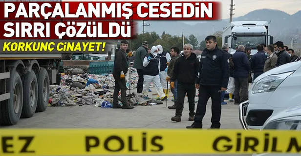 Ordu'da çöpte bulunan cesedin sırrı çözüldü