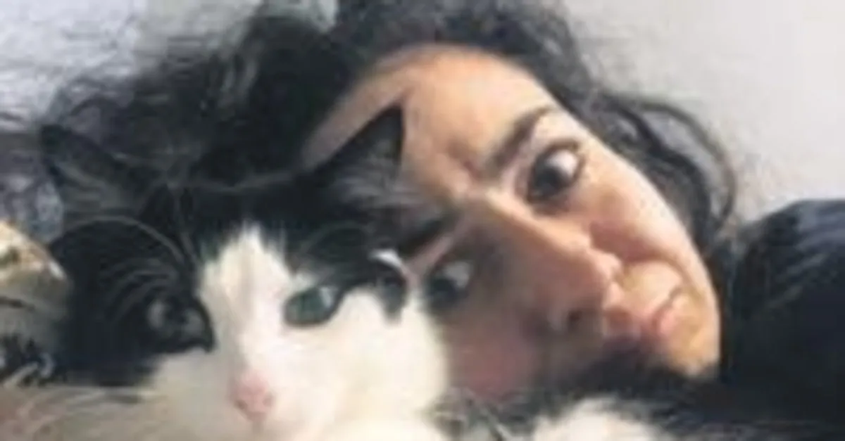 kayboldu zannettigi kedisi cekmeceden