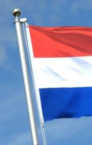 Hollanda'da Erdoğan'a hakarete soruşturma