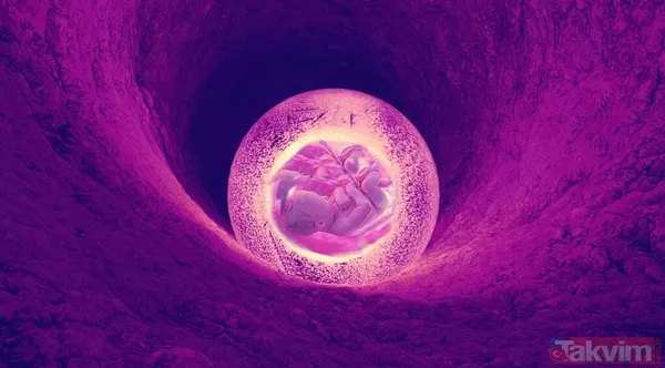 Menopoz sonrası 31 kilo verdiren ve tansiyonu iyileştiren 10 günlük sıfırlama metodunu açıkladı - 5