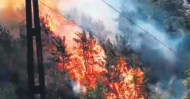 Çanakkale’de çıkan yangın 30 yıllık hayalini kül etti!