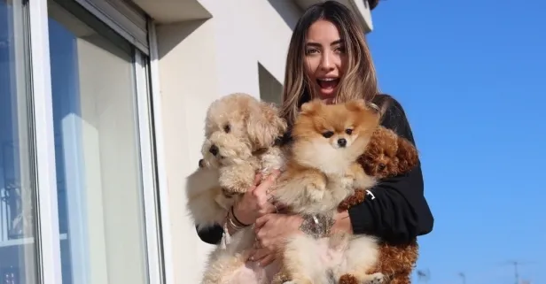 Zeynep Doğa Yaman: Pomeranian Boo cinsi en az yiyecek tüketen cinstir