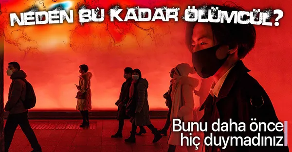 Son dakika: Koronavirüs neden bu kadar öldürücü?-1