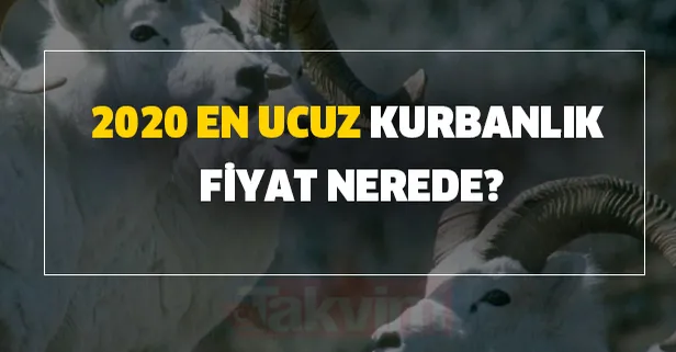 A101 Migros Carrefour kurban fiyatı kaç TL? 2020 en ucuz kurbanlık fiyat son dakika nerede?