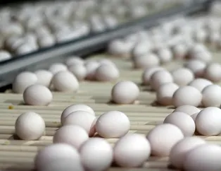 Yumurtayla formda kal