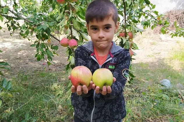 6 ay çürümeden tazeliğini koruyor! Sadece o ilde yetişiyor