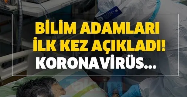 Bilim adamları ilk kez açıkladı! Koronavirüsle ilgili çok iyi haber diyerek...