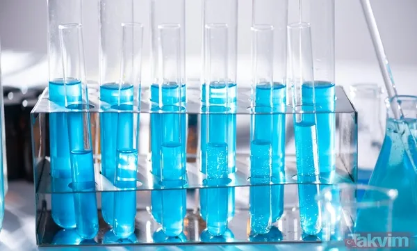 Beyindeki unutkanlık kilidi açıldı! Bilim açıkladı: Meğer hafızayı geri getiren şey... - 2