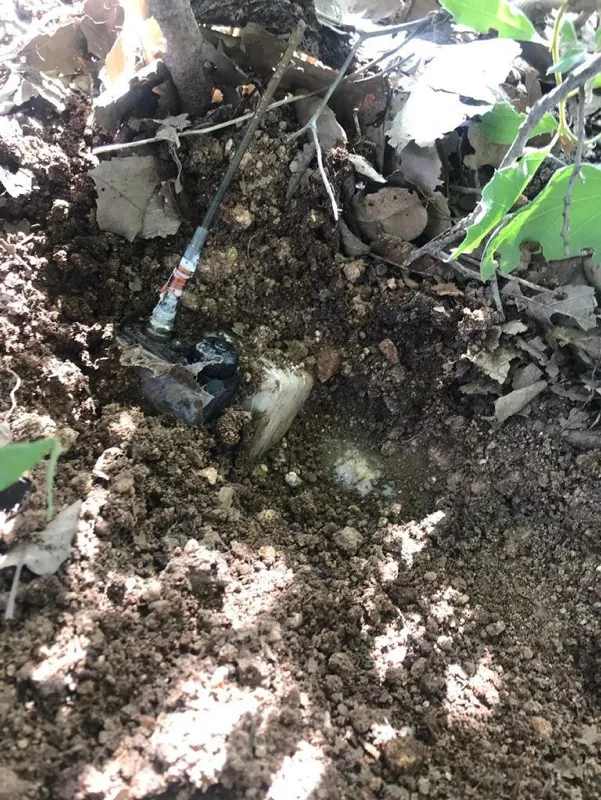 Son dakika haberi: Kurt Kapanı Operasyonu'nda bulunan telsiz komutalı patlayıcı düzeneği imha edildi-6