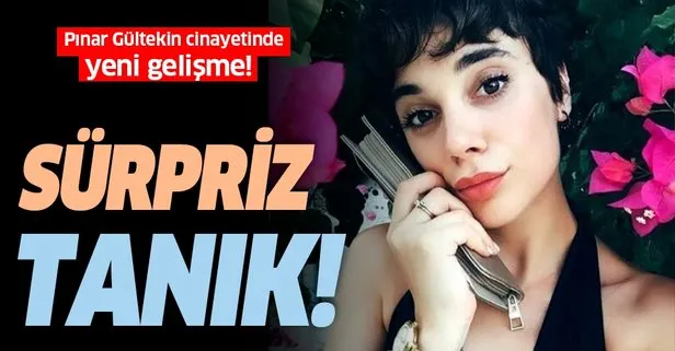 Pınar Gültekin cinayetinde flaş gelişme! Film ve klip yönetmeni Bedran Güzel’in de ifadesi alınmış