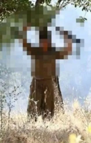 Bakanlık açıkladı: 3 terörist teslim oldu