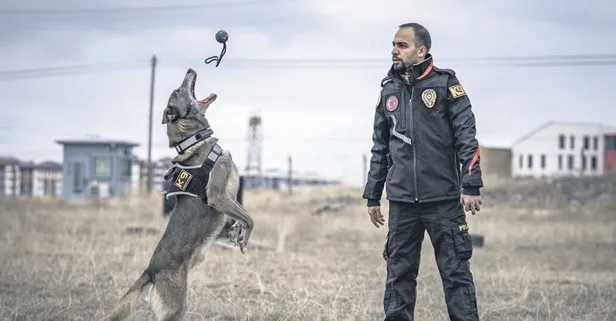 Deprem enkazından faili meçhule: Hassas burun Melo emekliliğe hazırlanıyor