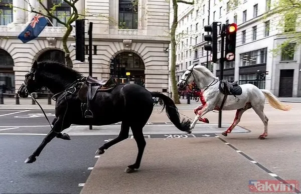 Öfkeli beş Kraliyet atı Londra’yı birbirine kattı! Kaçak atlardan biri sabıkalı çıktı: Kral Charles’ın taç giyme töreninde kafaya tekme - 3