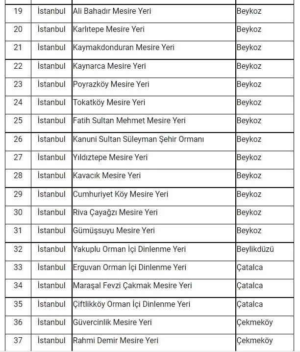 Son dakika: İstanbul'da ormanlara giriş yasağı! Vali Yerlikaya duyurdu: Ormanlara giriş yasağı 31 Temmuz'a kadar sürecek! İşte mangal yapmanın yasak olduğu yerler...-9
