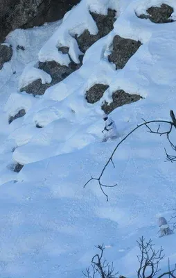 Tunceli'de nefes kesen operasyon!