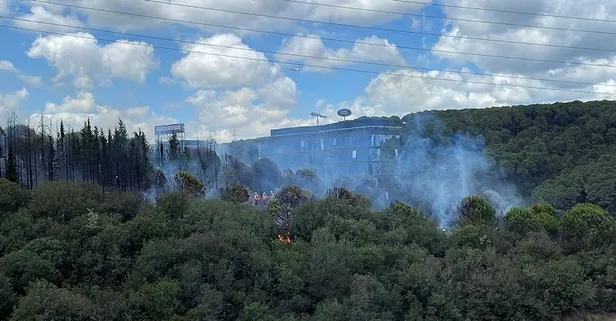 Kağıthane'de ormanlık alanda yangın çıktı