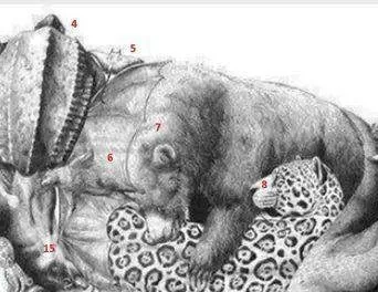 resimdeki-16-hayvani-bulduysan-hafizan-zehir-gibi-cikiyor-1713962485217.jpg Resimdeki 16 hayvanı bulduysan hafızan zehir gibi çıkıyor-7