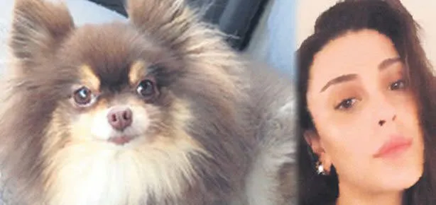 Bu kadar mı benzerim!