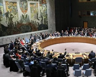 BMGK yarın Sudan için toplanacak