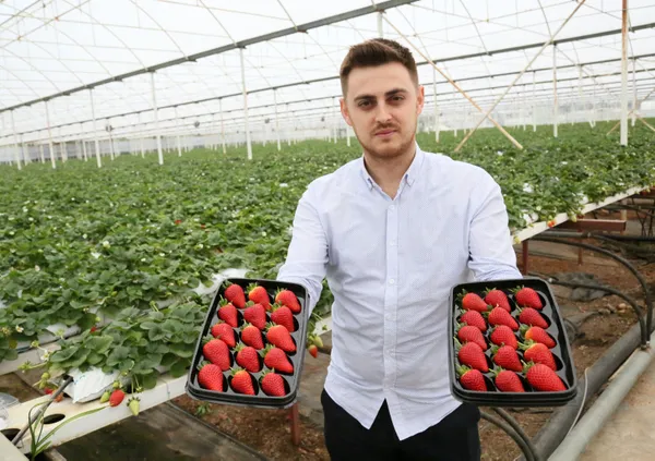 antalyada-havada-asili-olarak-cilek-urettiler-normalinden-iki-kat-fazla-raf-omru-var-1615460147529.jpg Antalya'da havada asılı olarak çilek ürettiler! Normalinden iki kat fazla raf ömrü var-2