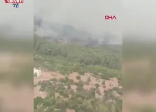 Muğla’da orman yangını!