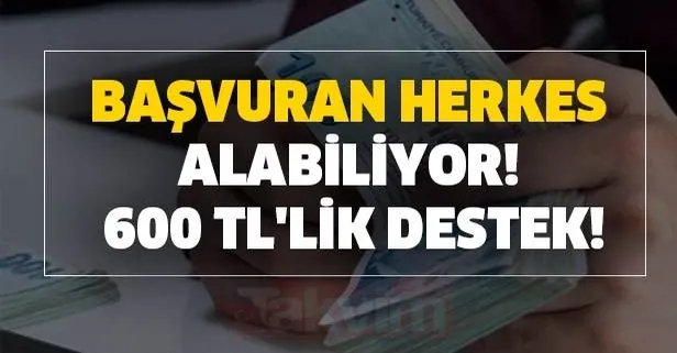 Ailelere 600 Tl Lik Destek Basvuran Herkes Alabiliyor Iste Sartlari Ve Tum Detaylari Takvim