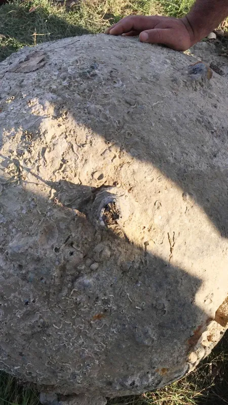 Balıkçıların ağına takılmıştı! Hangi döneme ait olduğu ortaya çıktı-3