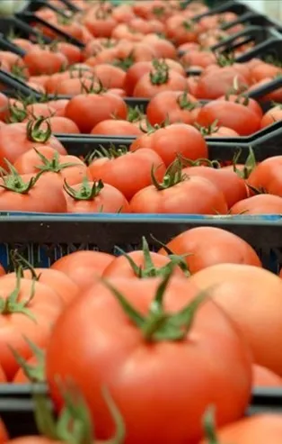 Pandemiye rağmen artış sürdü: 2019'da 5,3 milyar dolar...